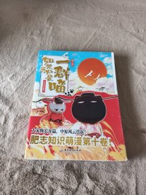 如果历史是一群喵10·宋辽金夏篇