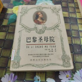 巴黎圣母院：世界文学名著典藏 馆藏正版无笔迹