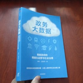 政务大数据：赋能政府的精细化运营与社会治理