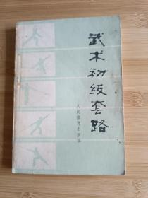 武术初级套路