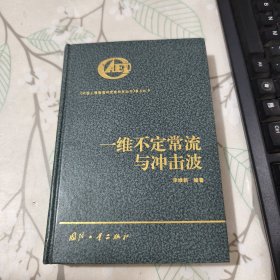 一维不定常流与冲击波 整本有划痕 品相见图