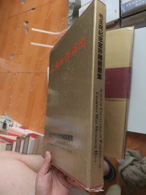 人民的好总理书画集毛主席纪念堂珍藏书画集中英对照 带盒子