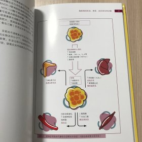 犬猫肥胖症