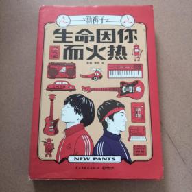 生命因你而火热《乐队的夏天》冠军“新裤子乐队”首部自传随笔集