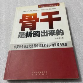 中国本土红色管理书系：骨干是折腾出来的