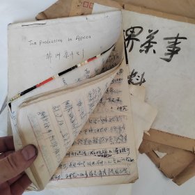 中国当代茶圣王先生郁风茶事手稿九份，每份里又有若干小份，