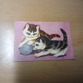 老画片–两只小猫