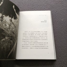 乌鸦简史:重新认识鸟类世界的智者(长销15年的科普经典,"自然""出版人周刊"等全球媒体力荐)