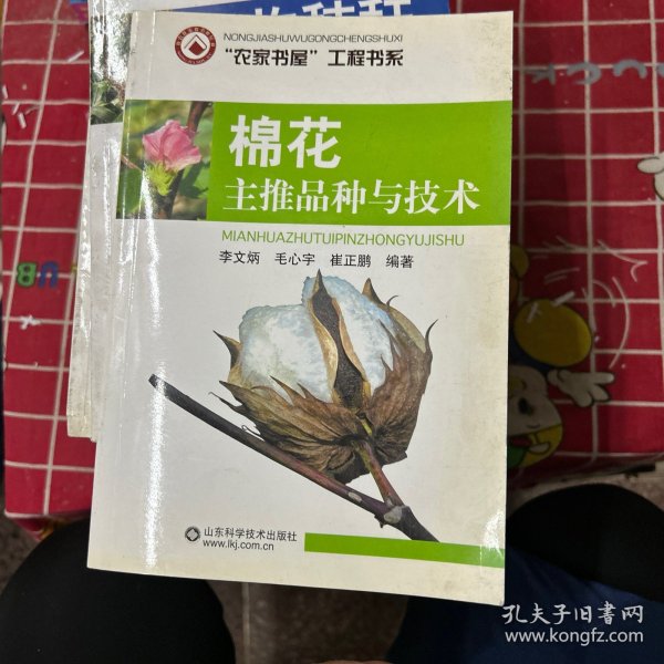 棉花主推品种与技术