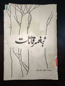 沉重的翅膀（维吾尔文）