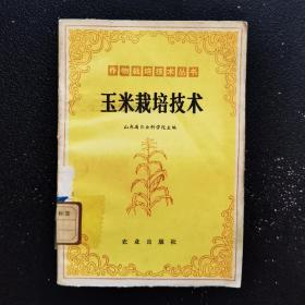 玉米栽培技术