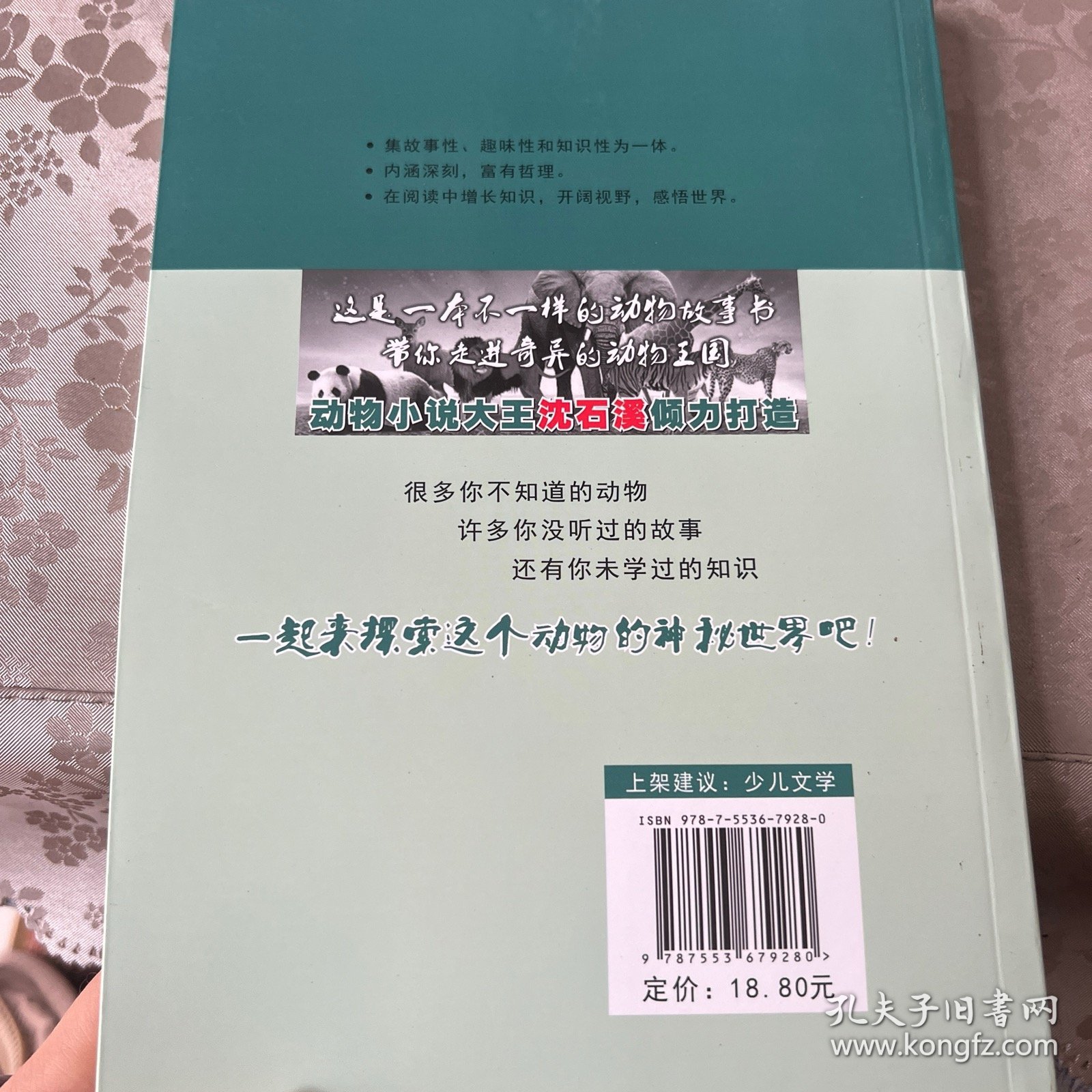 恶魔的眼泪（全新升级珍藏版）/动物小说大王沈石溪精读系列