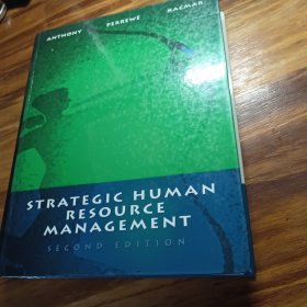 STRATEGIC HUMAN RESOURCE MANAGEMENT《战略性人力资源管理 第二版》