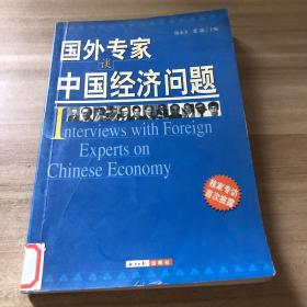 国外专家谈中国经济问题