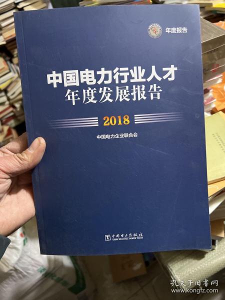 中国电力行业人才年度发展报告2018