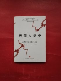 极简人类史：从宇宙大爆炸到21世纪