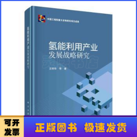 氢能利用产业发展战略研究