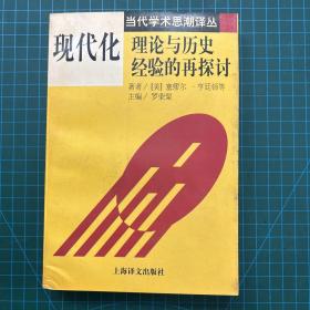 现代化理论与历史经验的再探讨（当代学术思潮译丛）