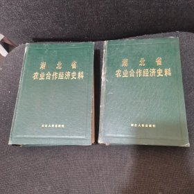 湖北省农业合作经济史料（上下）