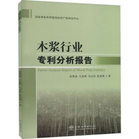 木浆行业专利分析报告