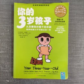 你的3岁孩子：从友善到对着干的年龄，培养创造力不可错过这一年