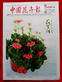 《中国花卉报》2013—1—5，花生活专刊