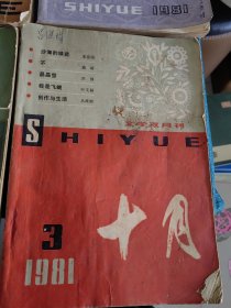 十月 1981年3,5,6、1982年1,4等5册合售