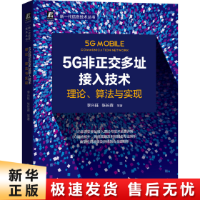 5G非正交多址接入技术：理论、算法与实现