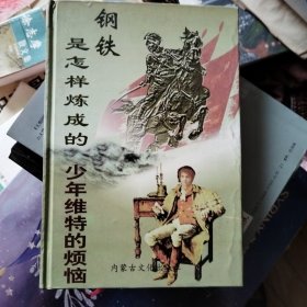 钢铁是怎样炼成的/少年维特的烦恼