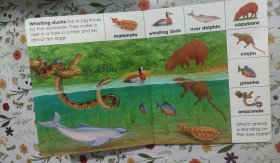 Brimax 手绘科普 一物一图 色彩鲜艳 易保存 Animals of lakes and rivers 中大开本