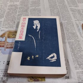 贾平凹散文自选集