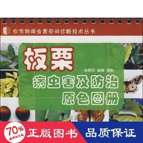 板栗病虫害及治原图册 种植业 张炳炎