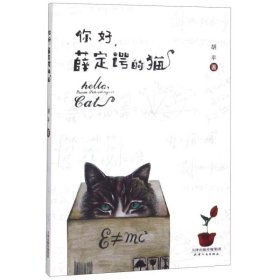 你好，薛定谔的猫