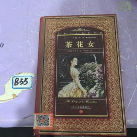 茶花女：世界文学名著典藏