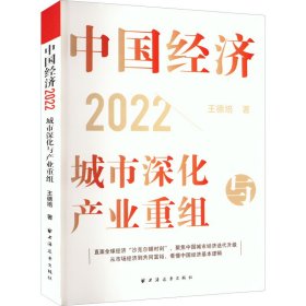 中国经济 2022 城市深化与产业重组