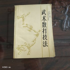 武术散打技法