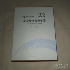 2018泰安经济普查年鉴（10）