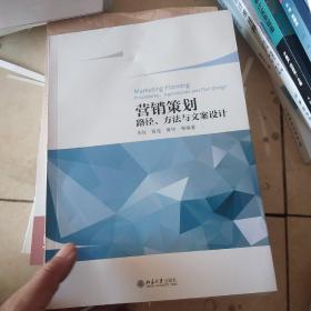 营销策划——路径、方法与文案设计
