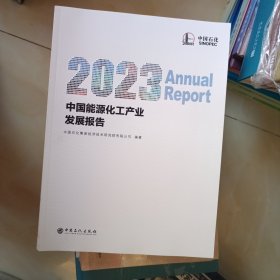 中国能源化工产业发展报告2023全新未开封