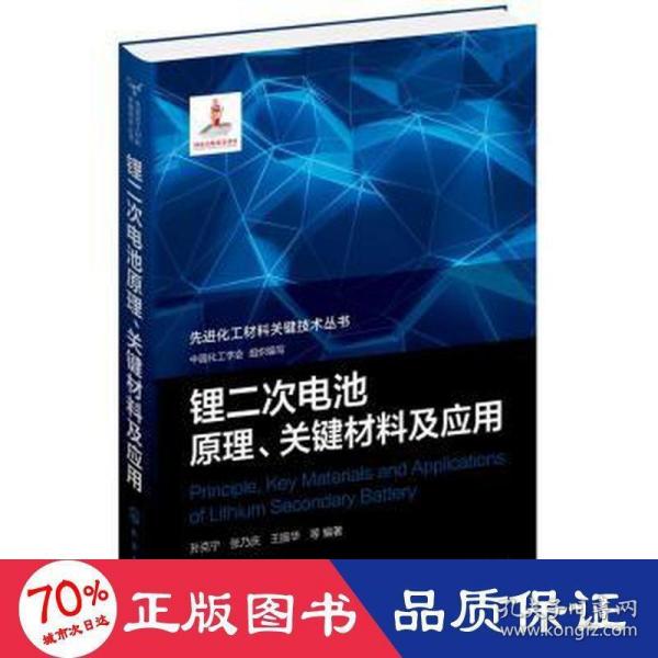 先进化工材料关键技术丛书--锂二次电池原理、关键材料及应用