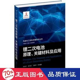 先进化工材料关键技术丛书--锂二次电池原理、关键材料及应用