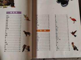 世界动物大图集