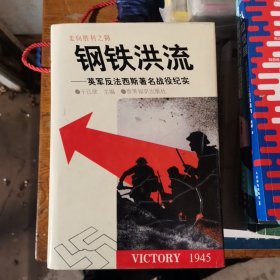 二战纪实丛书走向胜利之路 ：远征欧亚 血肉长城 钢铁洪流 横扫千军（ 全四册 ）精装