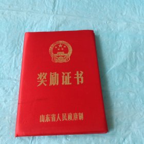 山东省人民政府 奖励证书（布面装空白）