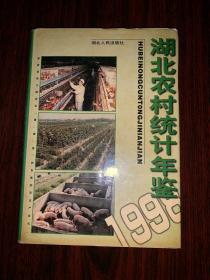 湖北农村统计年鉴 1998