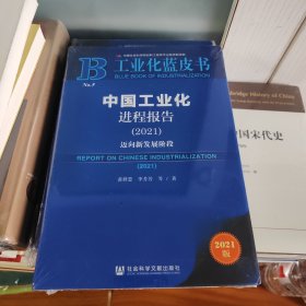 工业化蓝皮书：中国工业化进程报告（2021）