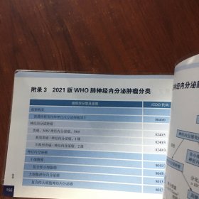 中国临床肿瘤学会（CSCO）小细胞肺癌诊疗指南2022