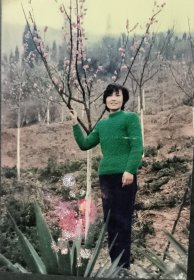 彩色照片（正当岁月）