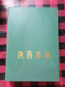 陕西森林
