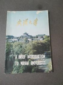 武汉大学